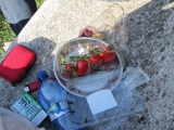 Rest-Tomaten auf der Bank